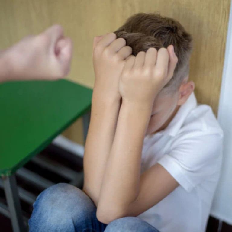 Basisonderwijs Training | Dus Je Hebt een Leerling met Agressief of Gewelddadig Gedrag, Wat Nu?