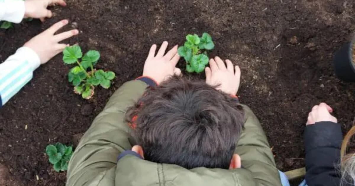 Moestuincoach wil in najaar en vroege winter met school om tafel