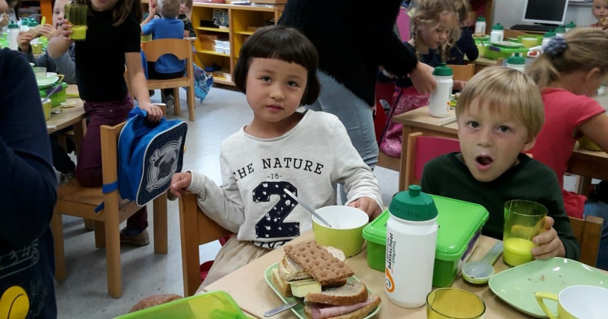 Aandacht voor voeding en bewegen op basisscholen werpt zijn vruchten af