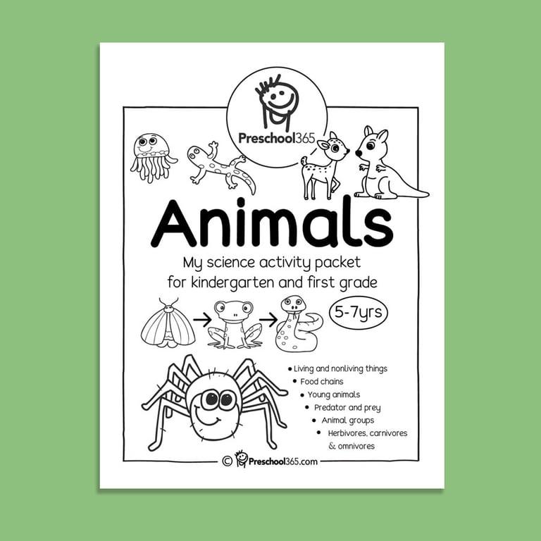 Basisonderwijs Lespakket | Dieren - Mijn Wetenschap Activiteitenpakket (24 Pagina's)