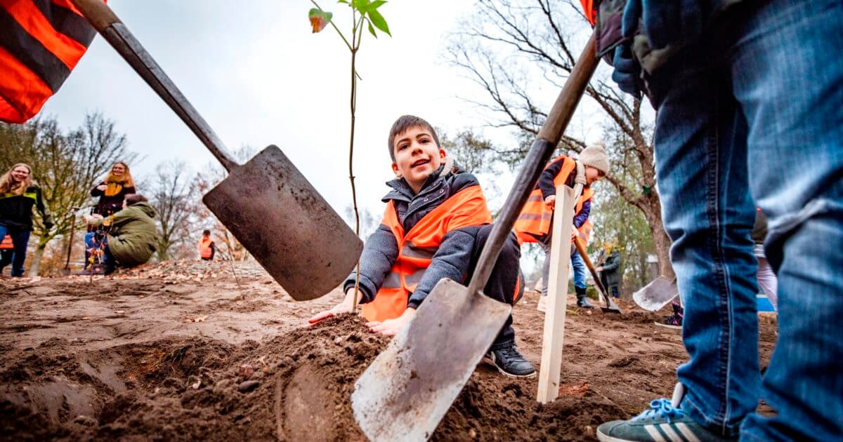 Ruim 60 procent basisscholen heeft ongezond versteend schoolplein