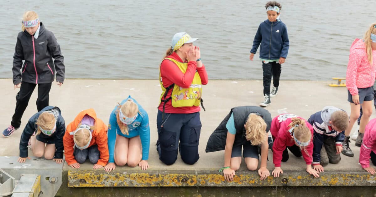 Wat doet een dag buiten voor scholen en leerlingen?
