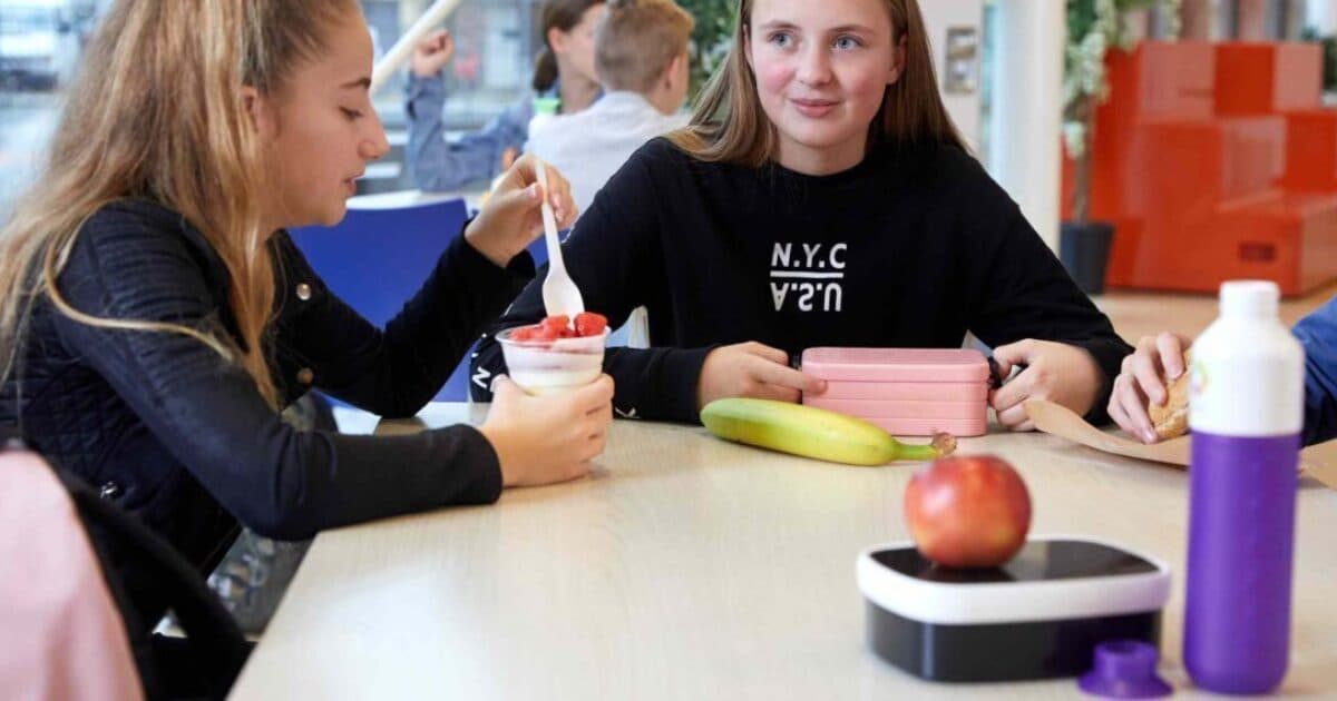 Tijdelijke regeling Gezonde School impuls