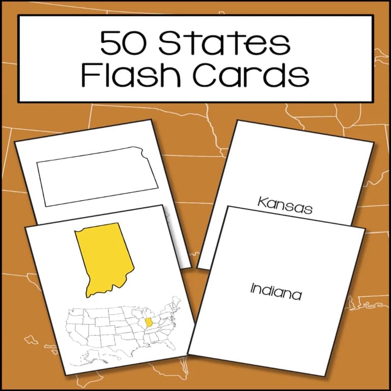 Basisonderwijs Flashcard | 50 Staten Flashcards