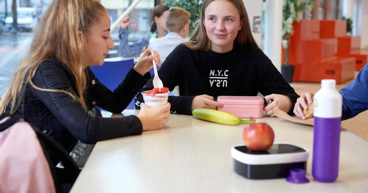 Lesprogramma Krachtvoer vernieuwd en online beschikbaar!