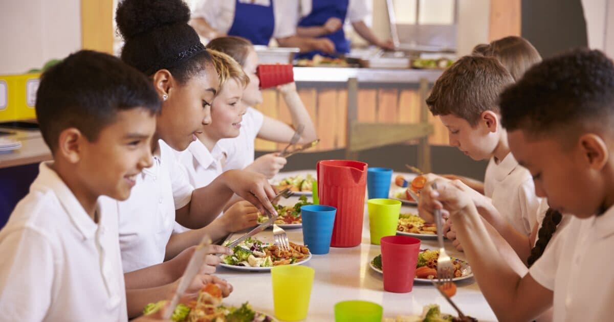 Schoollunches in het basisonderwijs in Europa