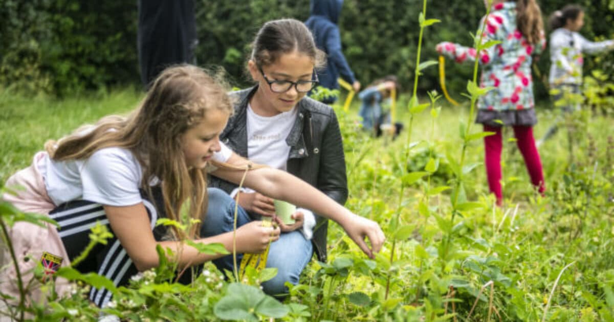 Basisschoolkinderen weinig natuurintelligent
