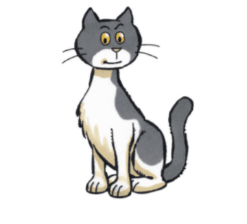 Overprikkeld & actief (Kat-type)