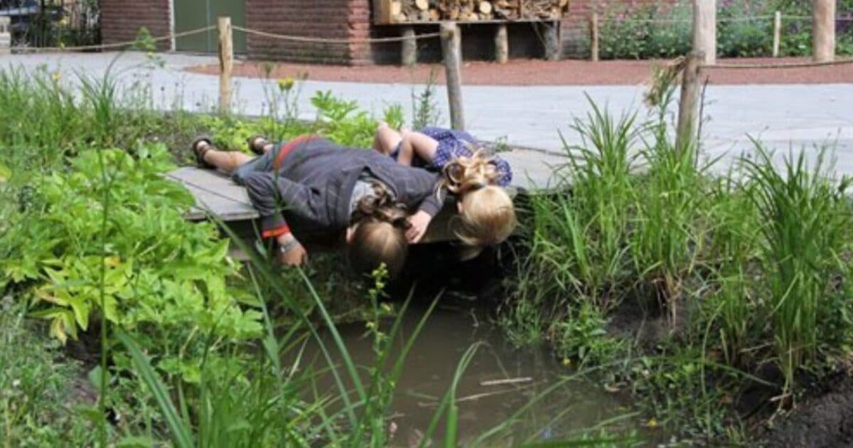 Minder angst bij kind in groene school- en thuisomgeving