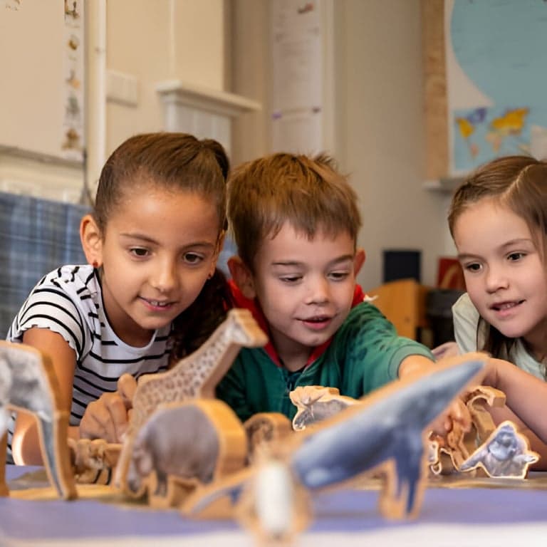 Basisonderwijs Cursus | Onderzoeken