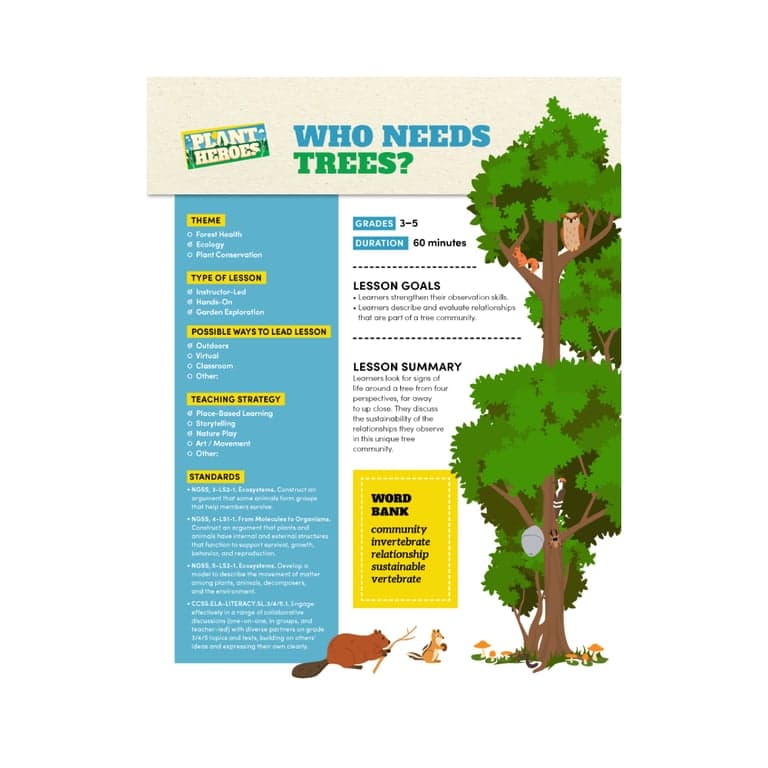 Basisonderwijs Lesidee | Wie Heeft Bomen Nodig?