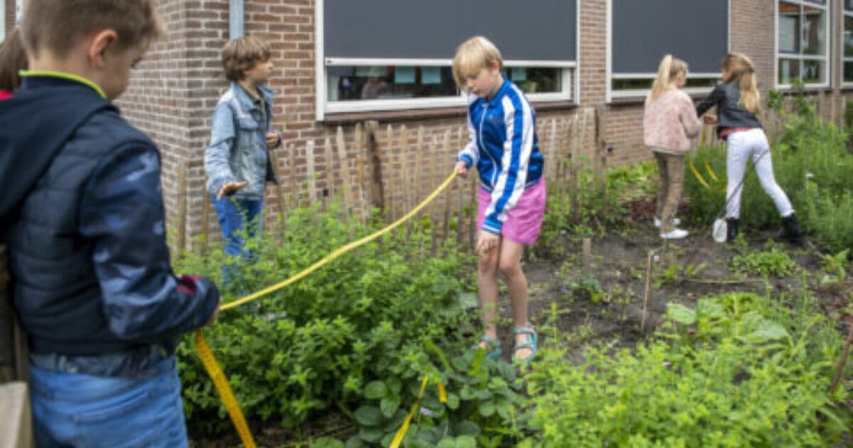 Voedselbosje zoekt Zwols schoolplein