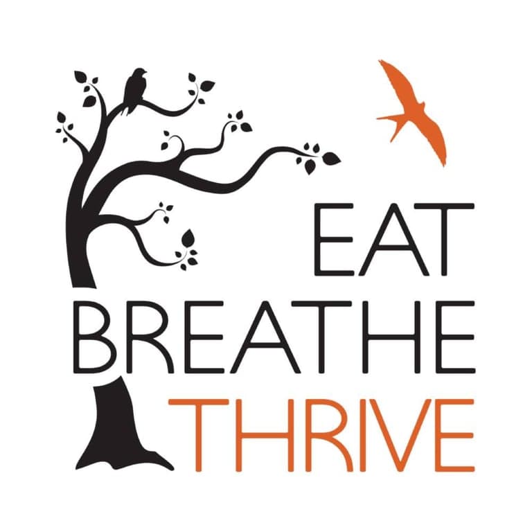 Basisonderwijs Training | Eet Adem Thrive Facilitator