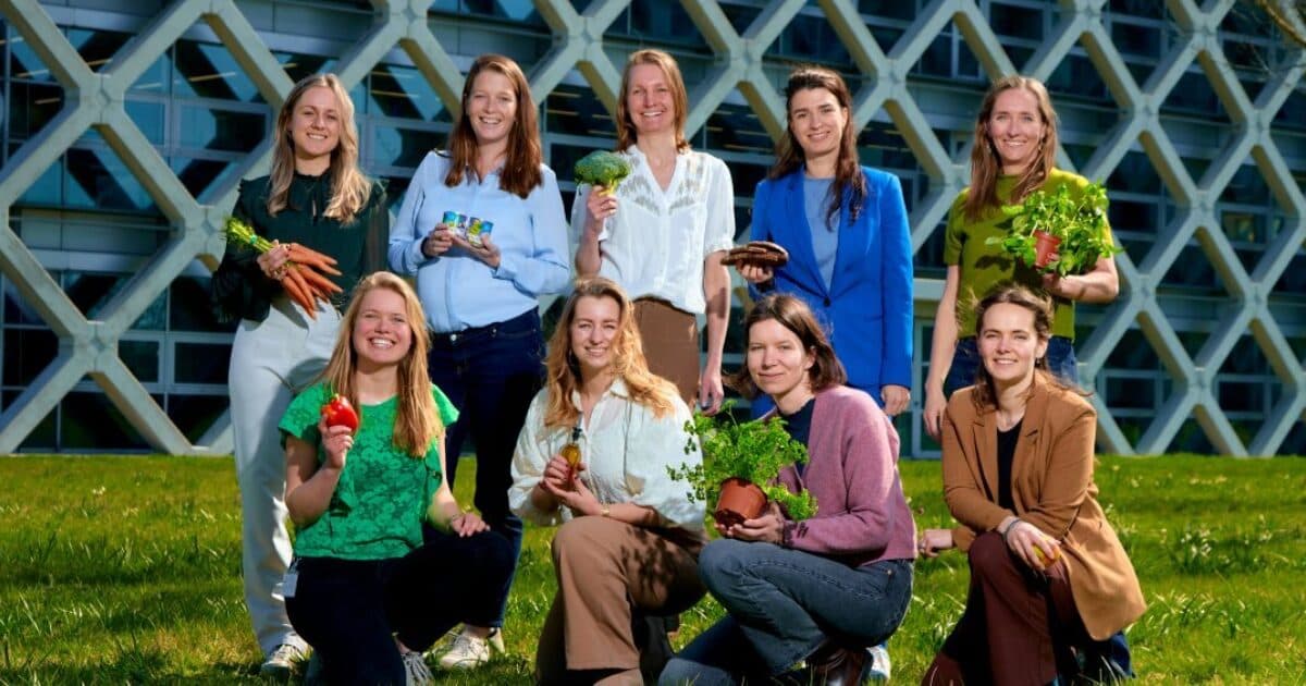 Smaaklessen genomineerd voor WUR Impact Award 2026