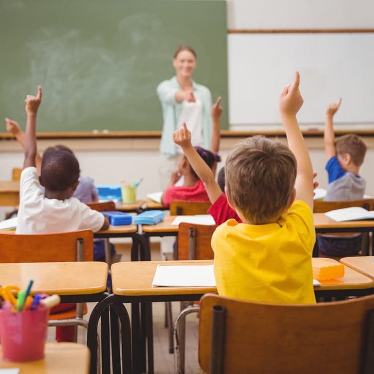 Basisonderwijs Cursus | Gedragsmanagement