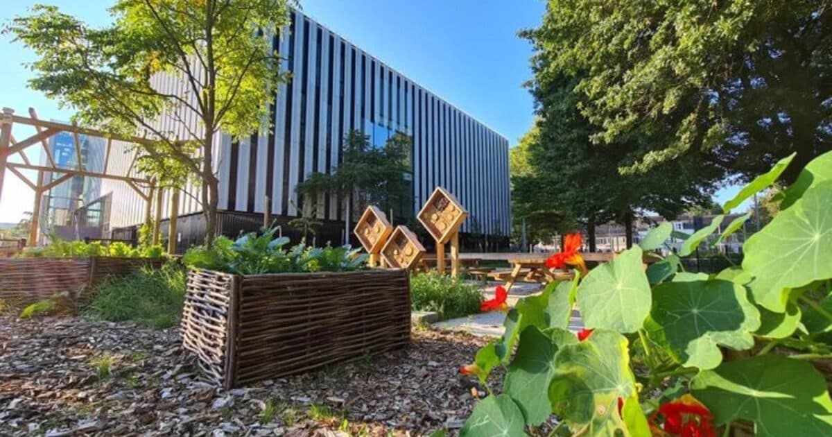 1 miljoen euro beschikbaar voor Brabantse groene schoolpleinen
