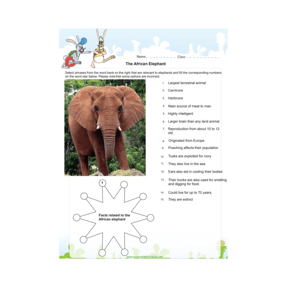 Basisonderwijs Werkblad | De Afrikaanse Olifant
