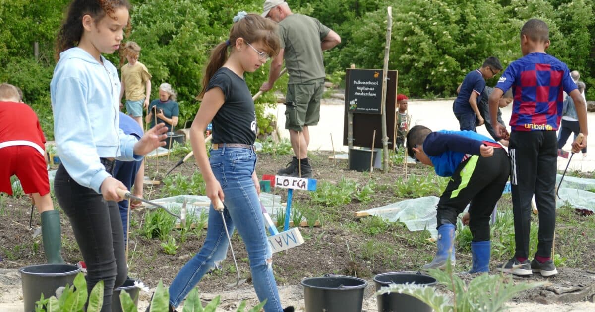 De Floriade Schooltuin, een gezamenlijk schooltuinenproject van Almere en Amsterdam