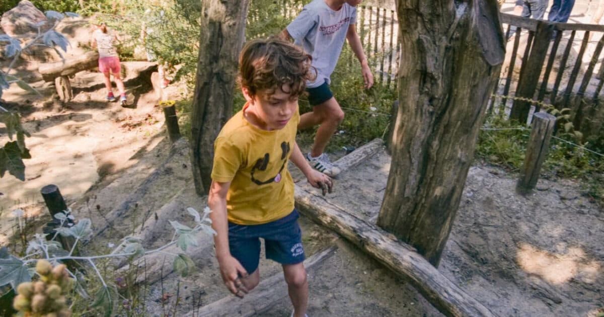 Beter concentreren en lekkerder in je vel dankzij een groen schoolplein