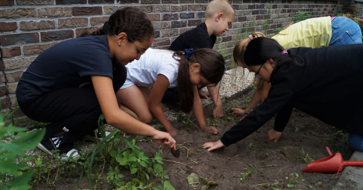 Acht tips voor een groen schoolplein