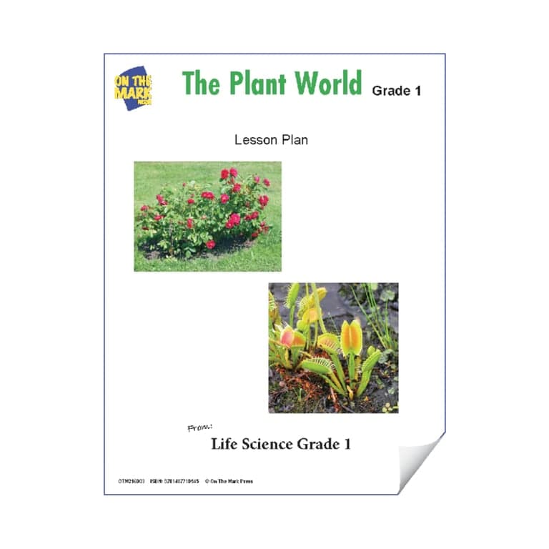 Basisonderwijs Lesidee | De Plantenwereld – Lesplan en Activiteiten voor Groep 1 (Engelstalig)