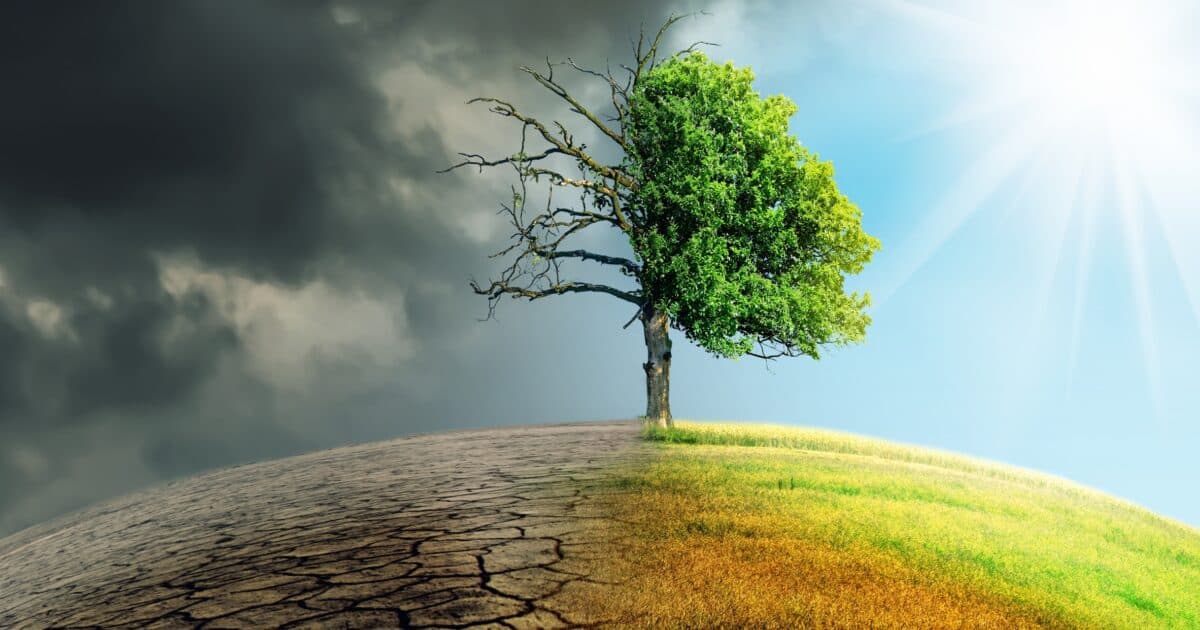 Opvoeden in een opwarmend klimaat